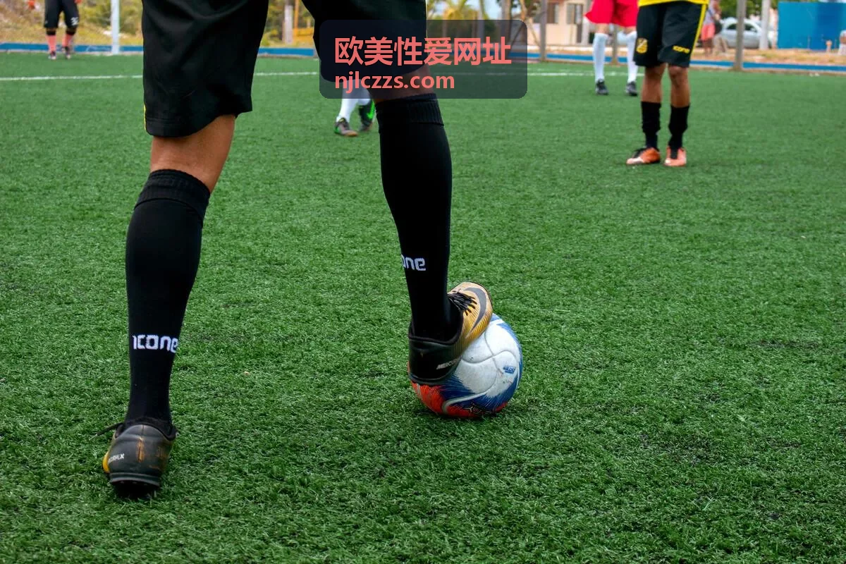 欧美性爱网址更新动态分类封面